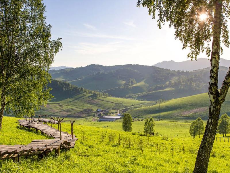 Маральник Никольское