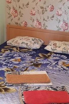 Отель Морская звезда (Кабардинка) Россия, Геленджик, фото 13