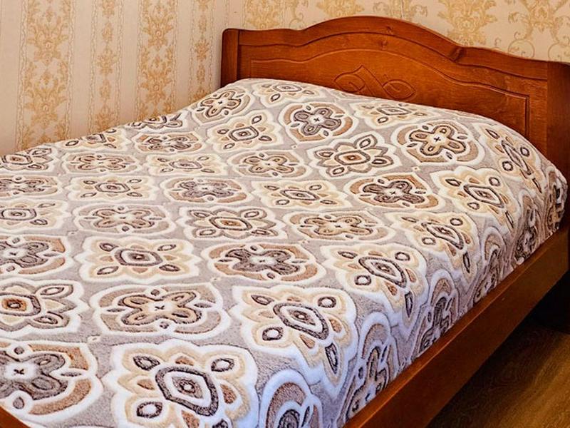 Гостиница Петроградская