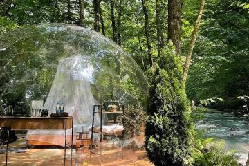 Отель Лес Глэмпинг и СПА Россия, Красная Поляна, фото 18