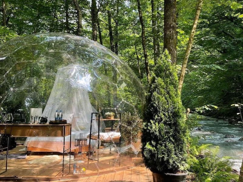 Лес Глэмпинг и СПА