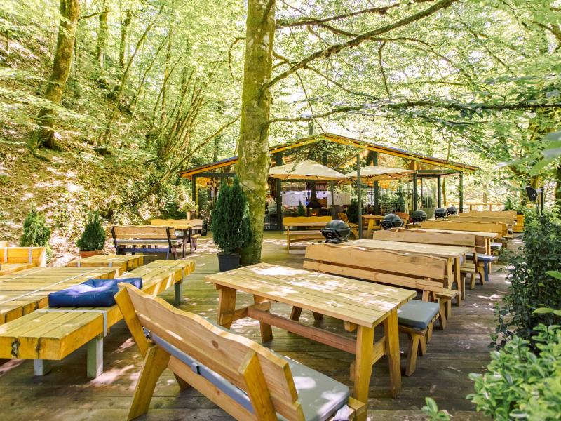 Лес Глэмпинг и СПА