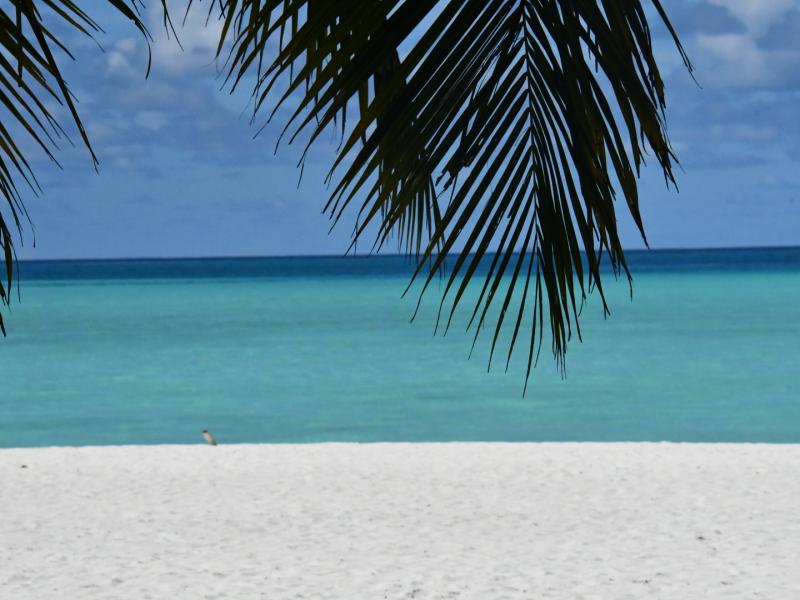 Medhufaru Inn Guesthouse