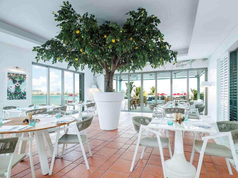 Th8 Palm Dubai Beach Resort Vignette Collection, an IHG hotel