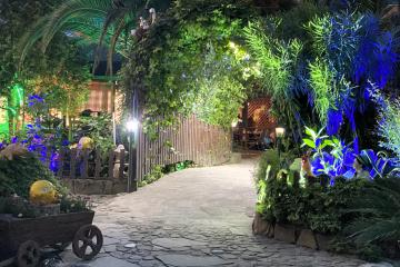 Отель Ромашка Россия, Адлер, фото 10