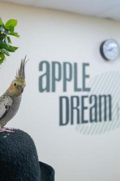 Отель Apple Dream Hotel Россия, Москва, фото 6