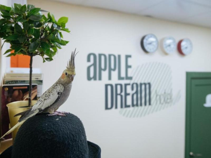 Apple Dream Hotel