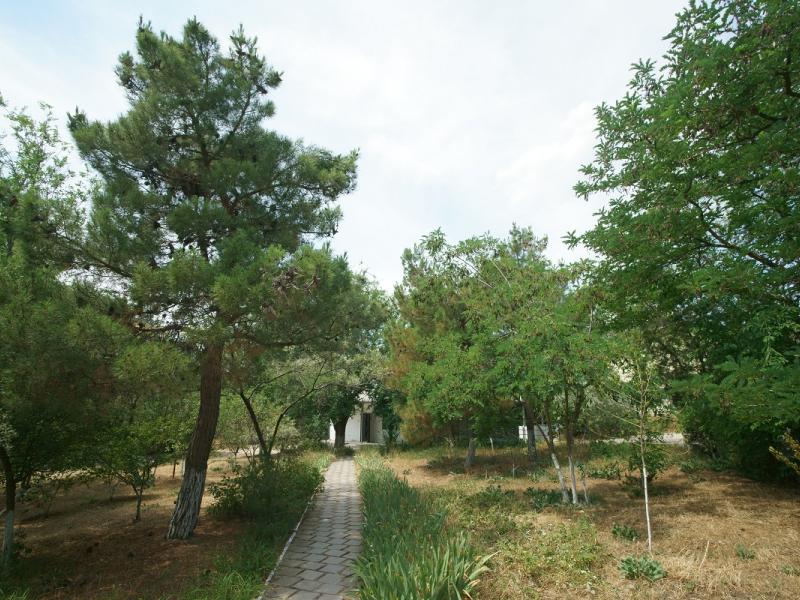 Пансионат Фламинго