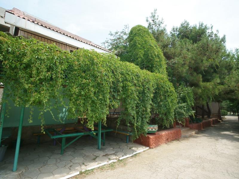 Пансионат Фламинго