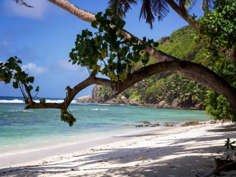 Surfers Self Catering Chalets