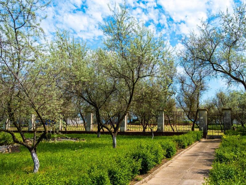 Прибрежный (Медведево)