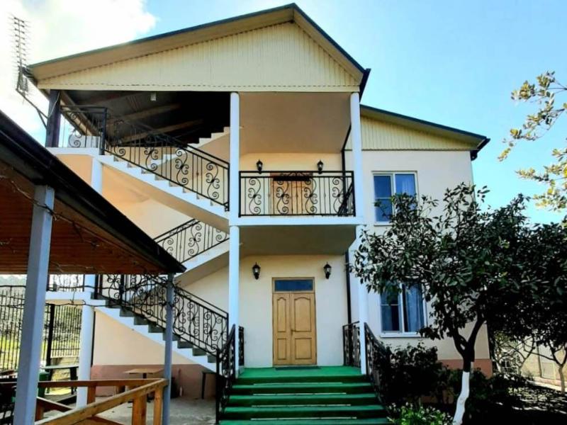 Камелия (Цандрипш)