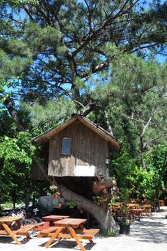 Отель Turkmen Tree Houses Турция, Кемер, фото 3