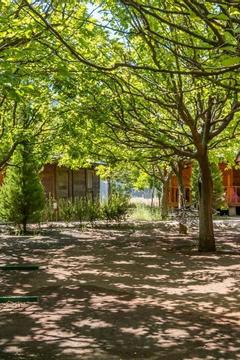 Отель Likya Yanartas Bungalows Турция, Кемер, фото 2