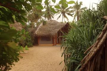 Отель Jungle Beach Camp Ahungalla Шри-Ланка, Ахунгала, фото 15