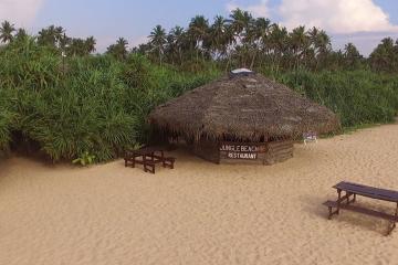 Отель Jungle Beach Camp Ahungalla Шри-Ланка, Ахунгала, фото 4