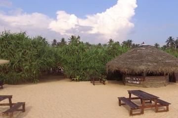 Отель Jungle Beach Camp Ahungalla Шри-Ланка, Ахунгала, фото 5
