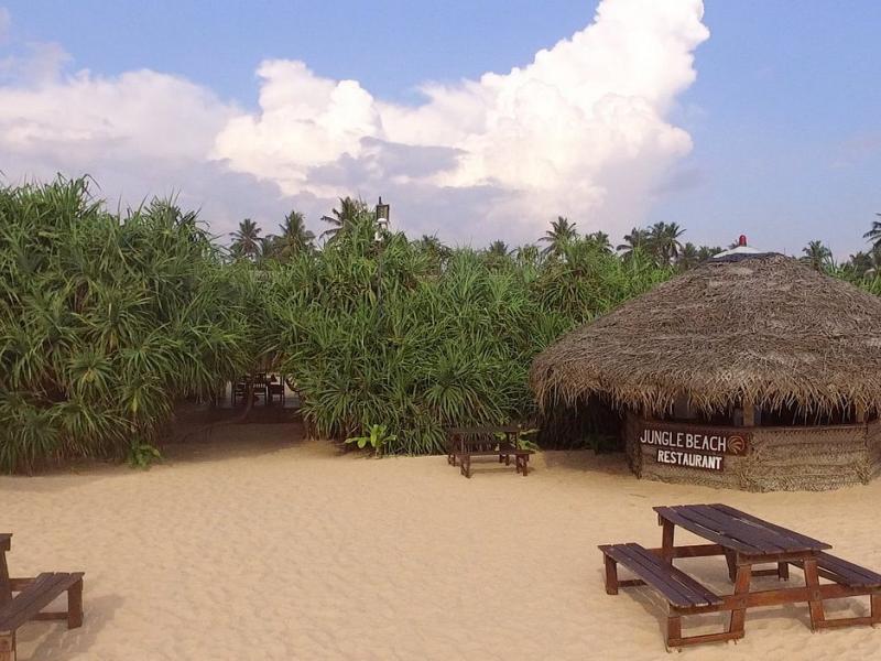 Jungle Beach Camp Ahungalla