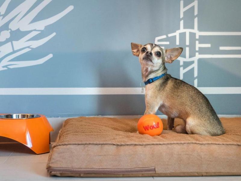 Canopy by Hilton Cancun La Isla