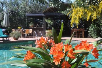 Отель El Vino Hotel & Suites Турция, Бодрум, фото 36