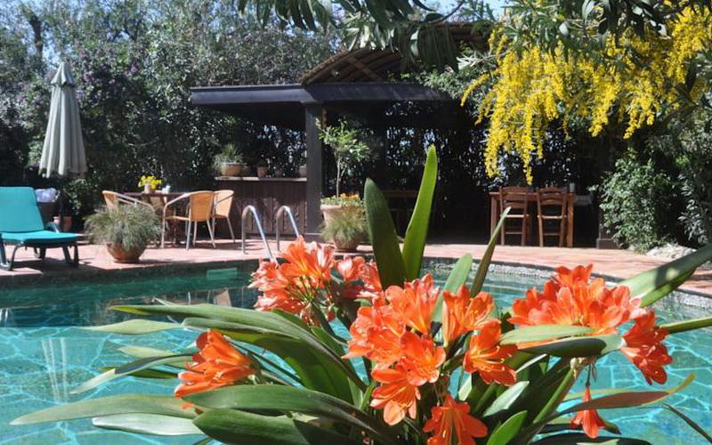 El Vino Hotel & Suites