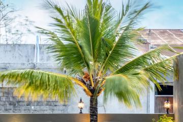 Отель Sky Beach Maldives Guest House Мальдивы, Северный Мале Атолл, фото 26