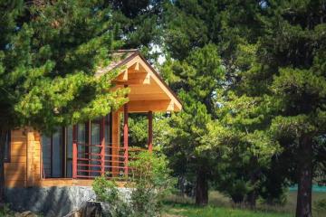 Отель Динамо база отдыха Россия, Алтайский край, фото 17