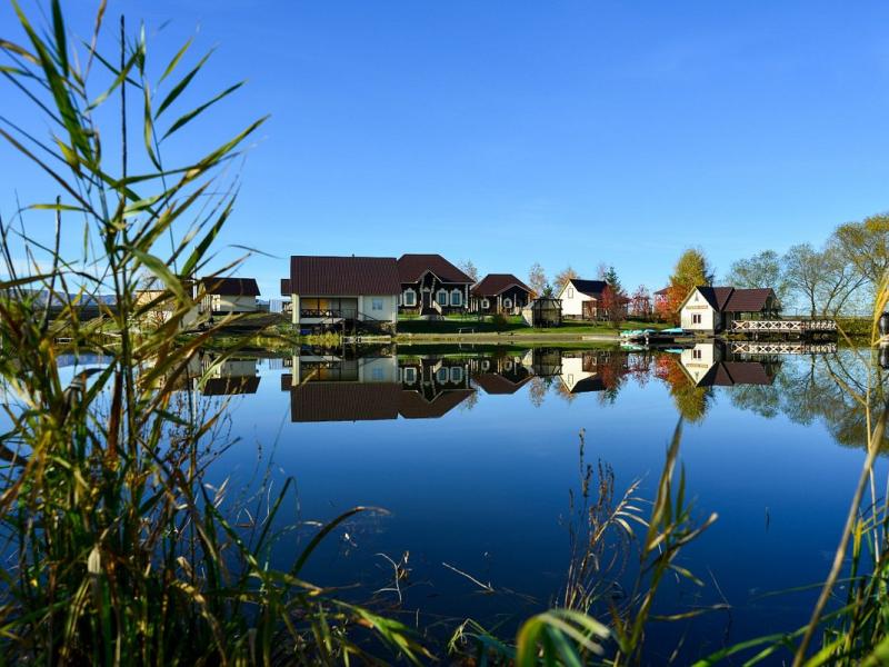 Калина красная