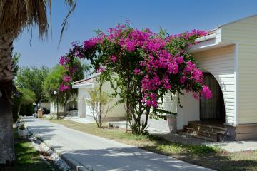 Отель Anadolu Hotels Didim Club Турция, Дидим, фото 5