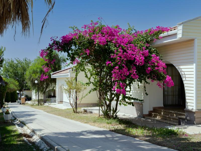 Anadolu Hotels Didim Club