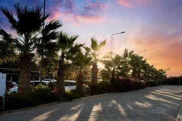 Отель Anadolu Hotels Didim Club Турция, Дидим, фото 10