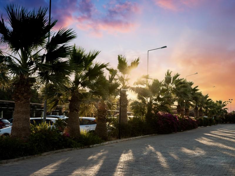 Anadolu Hotels Didim Club