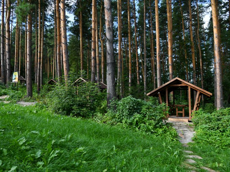 Заимка Лесника База Отдыха