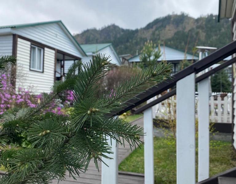 Усадьба Ярцевых