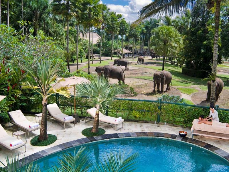 Elephant Safari Park Lodge
