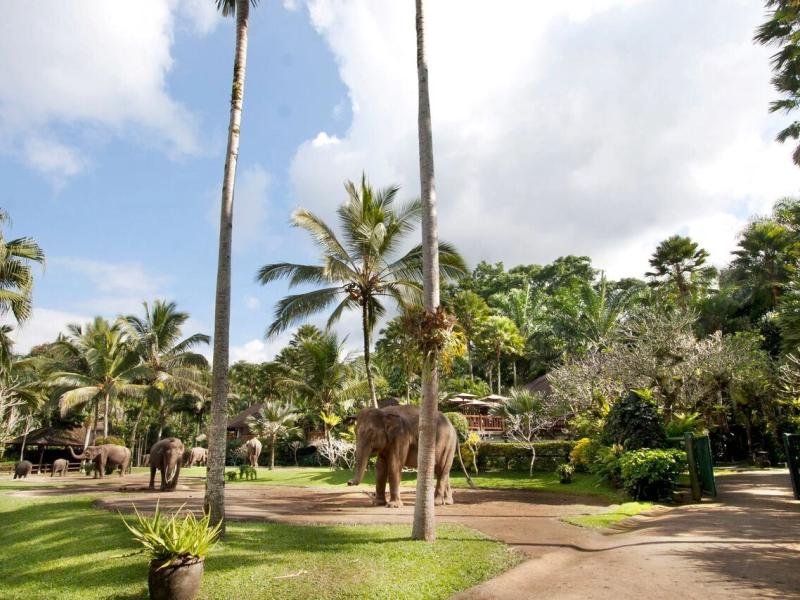 Elephant Safari Park Lodge