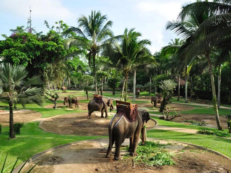 Elephant Safari Park Lodge