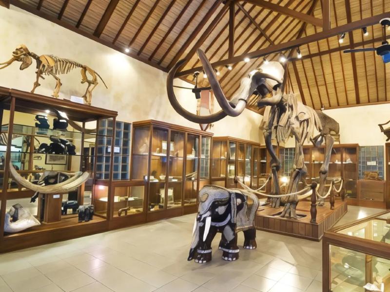 Elephant Safari Park Lodge
