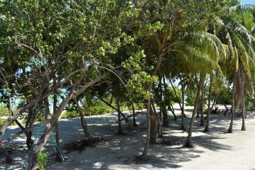 Отель Beach House Dhiffushi Мальдивы, Северный Мале Атолл, фото 4