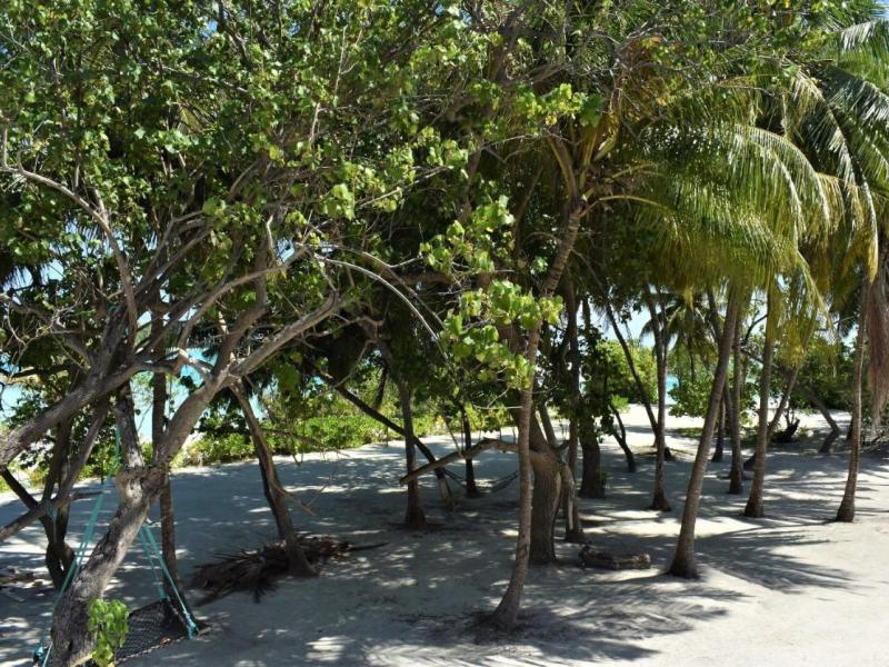 Beach House Dhiffushi
