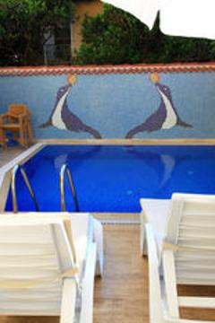 Отель Bacchus Pension Турция, Анталия, фото 29