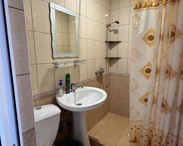 Дельфинчик