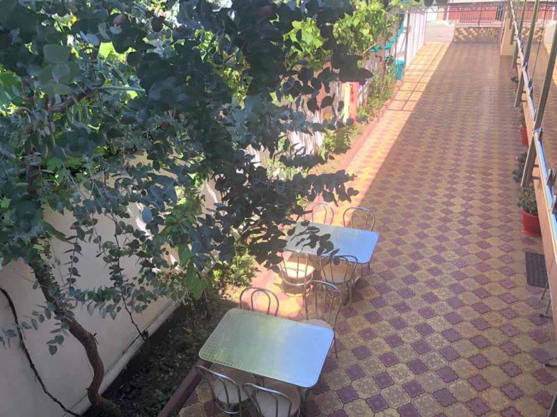 Дельфинчик