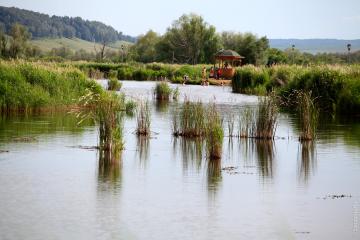 Отель Бакирово санаторий Россия, Лениногорск, фото 13