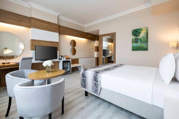 Отель Elite Hotel Dragos Турция, Стамбул, фото 14
