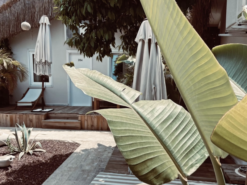 Kalia Beach Hotel Side