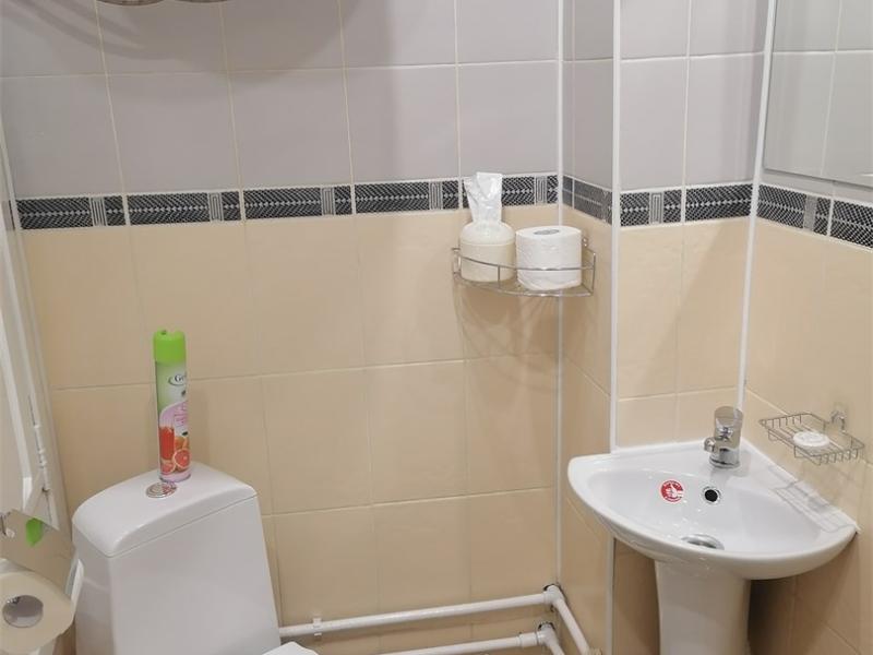 Гостиница Викинг