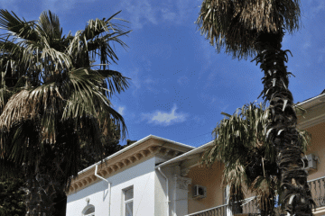 Отель Горное Солнце Россия, Алупка, фото 30