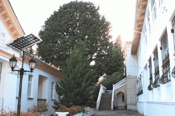 Отель Горное Солнце Россия, Алупка, фото 3