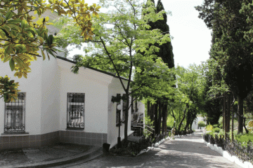 Отель Горное Солнце Россия, Алупка, фото 4